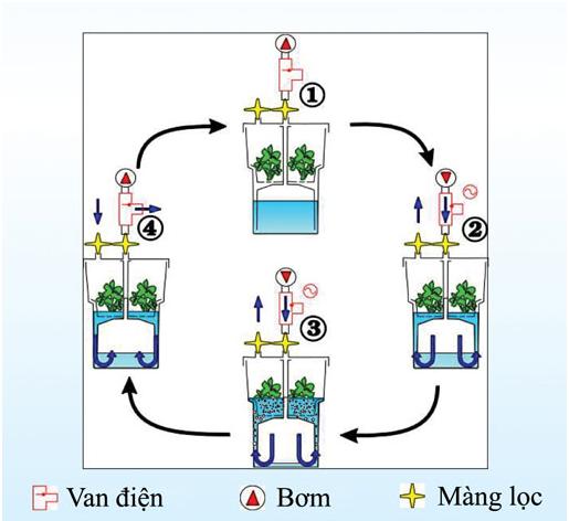 HỆ THỐNG NUÔI CẤY NGẬP CHÌM TẠM THỜI 