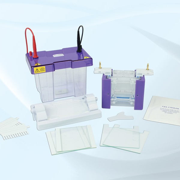 Hệ thống điện di đứng OMNIPAGE MINI 